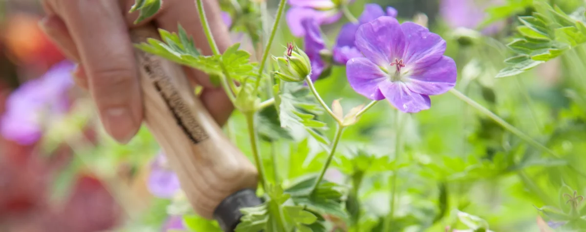 Produits de qualité supérieure Maison et jardin