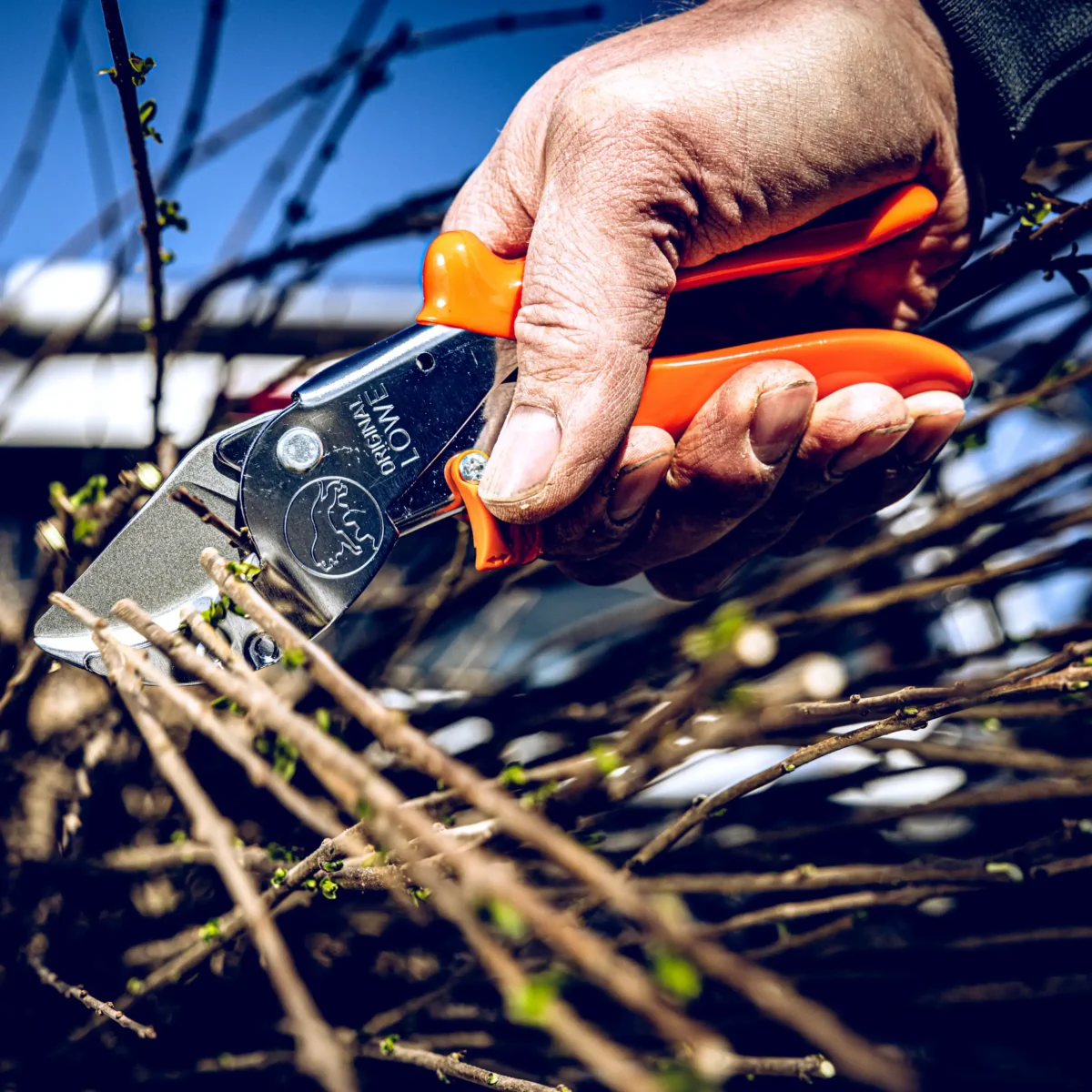 Enclume Sécateur Sécateur d'atelier Grandes branches