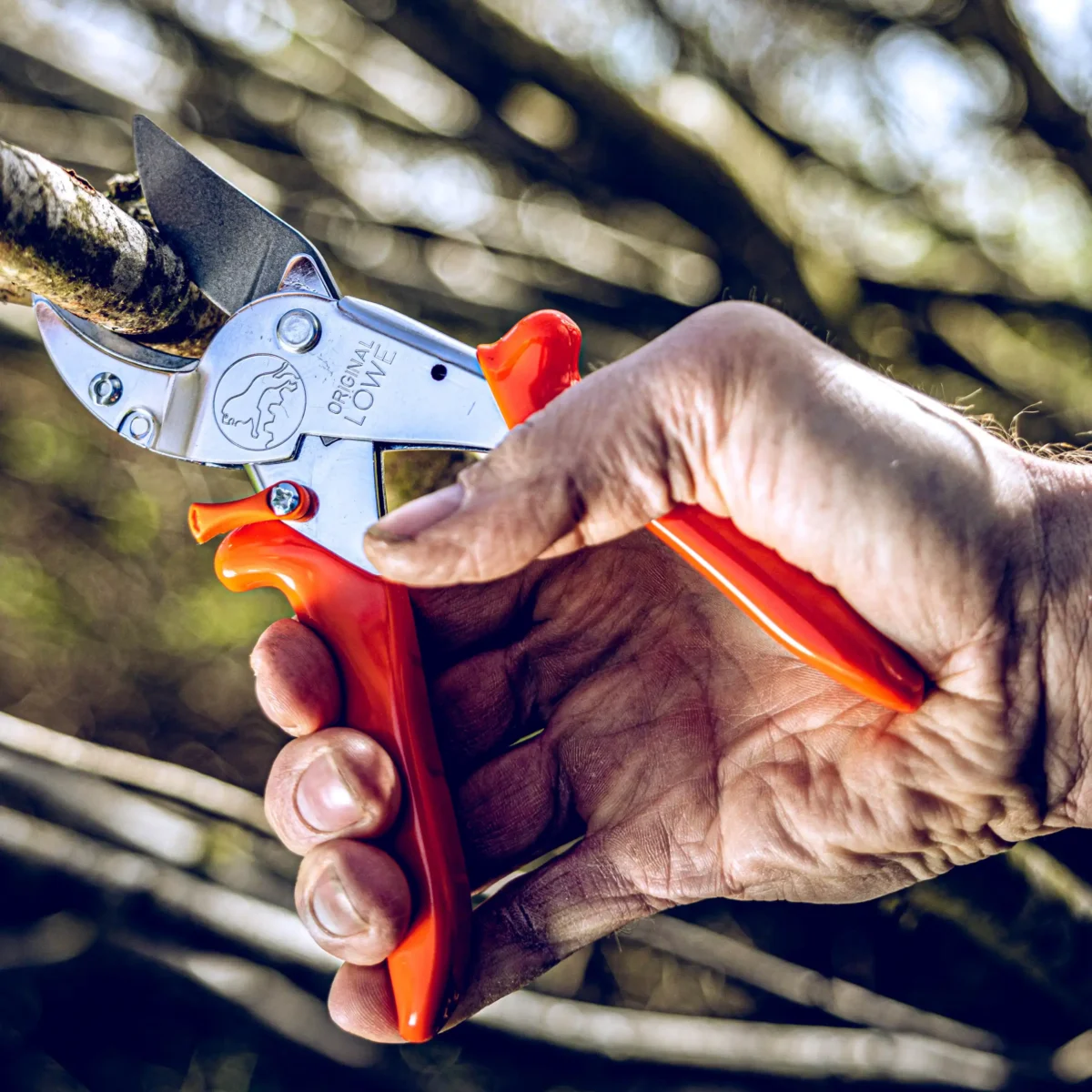 Enclume Sécateur Sécateur d'atelier Grandes branches