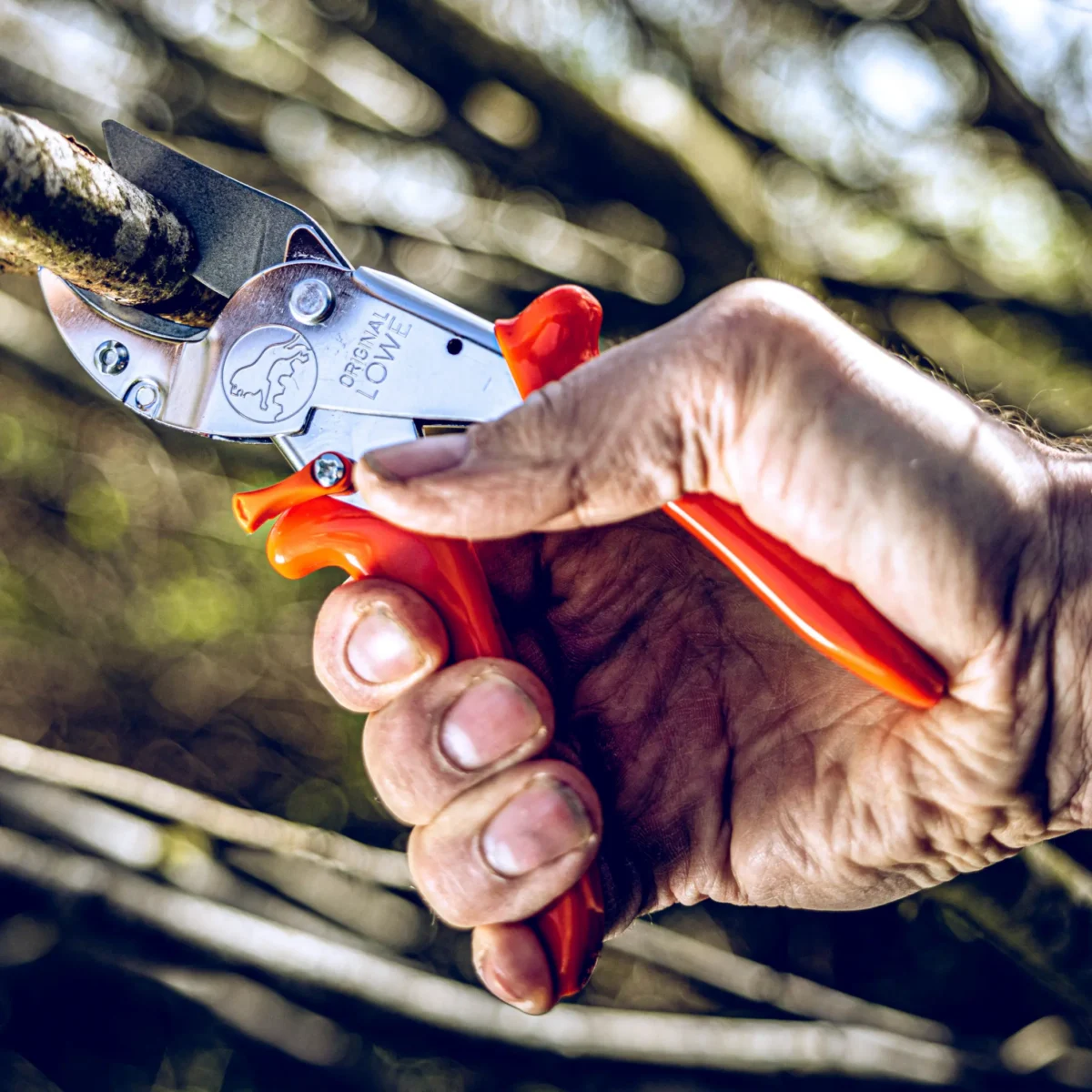 Enclume Sécateur Sécateur d'atelier Grandes branches