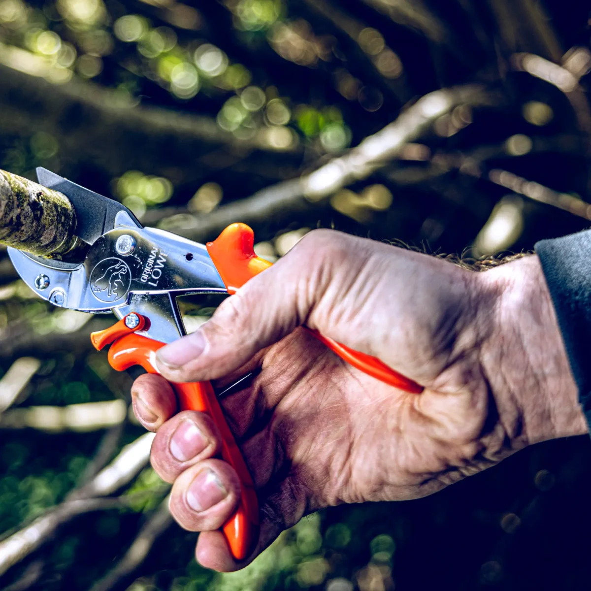 Enclume Sécateur Sécateur d'atelier Grandes branches