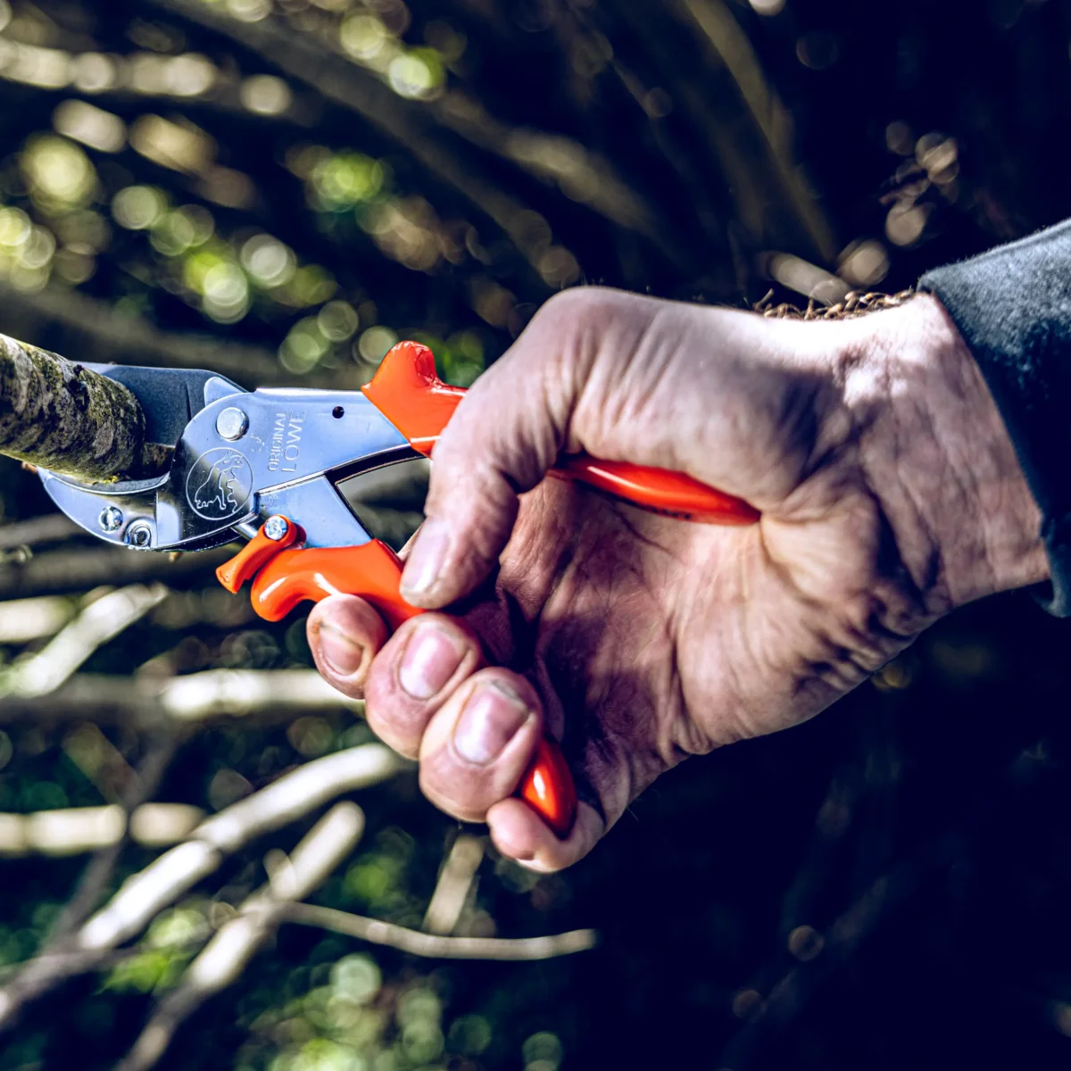 Enclume Sécateur Sécateur d'atelier Grandes branches