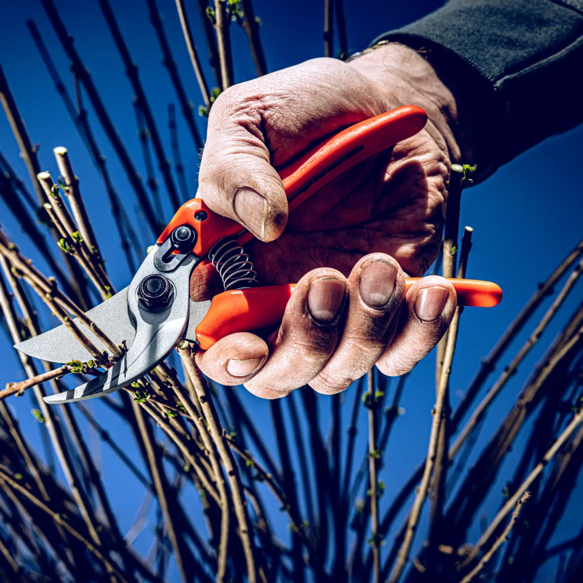 Sécateur Löwe 14.107 Economic Clean Cut pour les petites mains