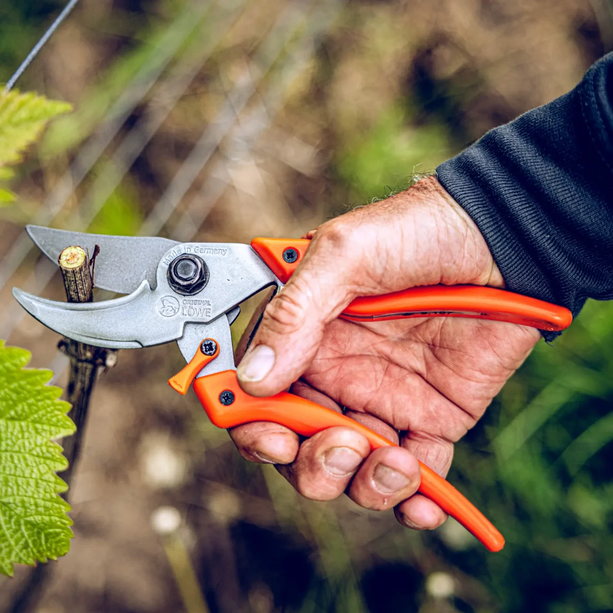 Sécateur Löwe 9.107 Bypass Professional Clean Cut