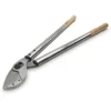 Löwe Élagueur professionnel 65 cm poignées en bois