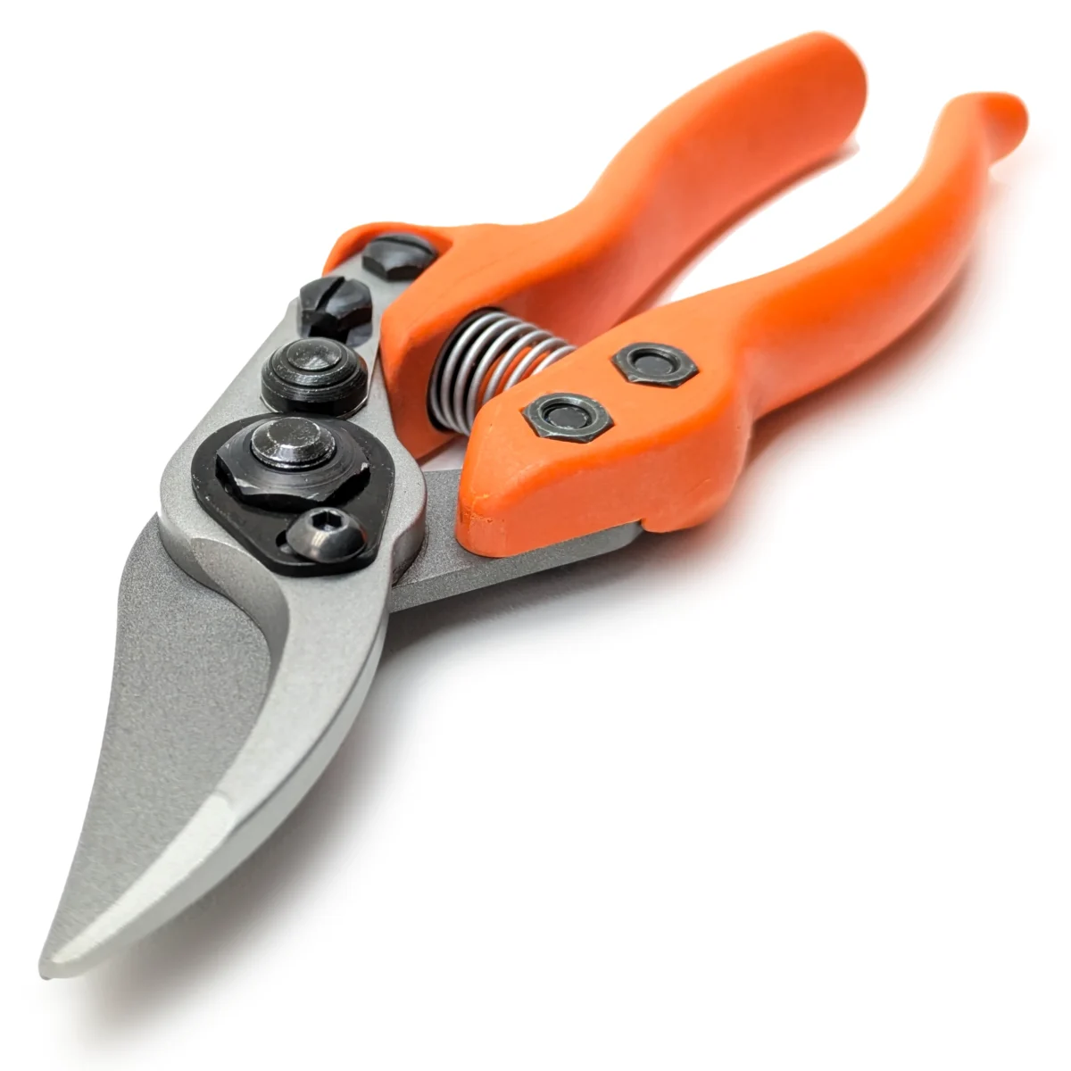 Löwe 12 Precision Clean Cut petit sécateur pour femmes