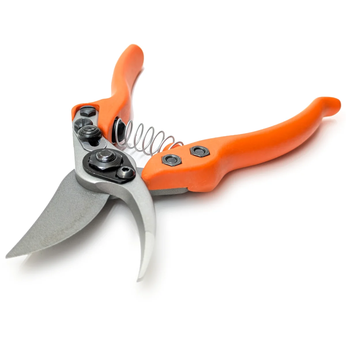 Löwe 12 Precision Clean Cut petit sécateur pour femmes