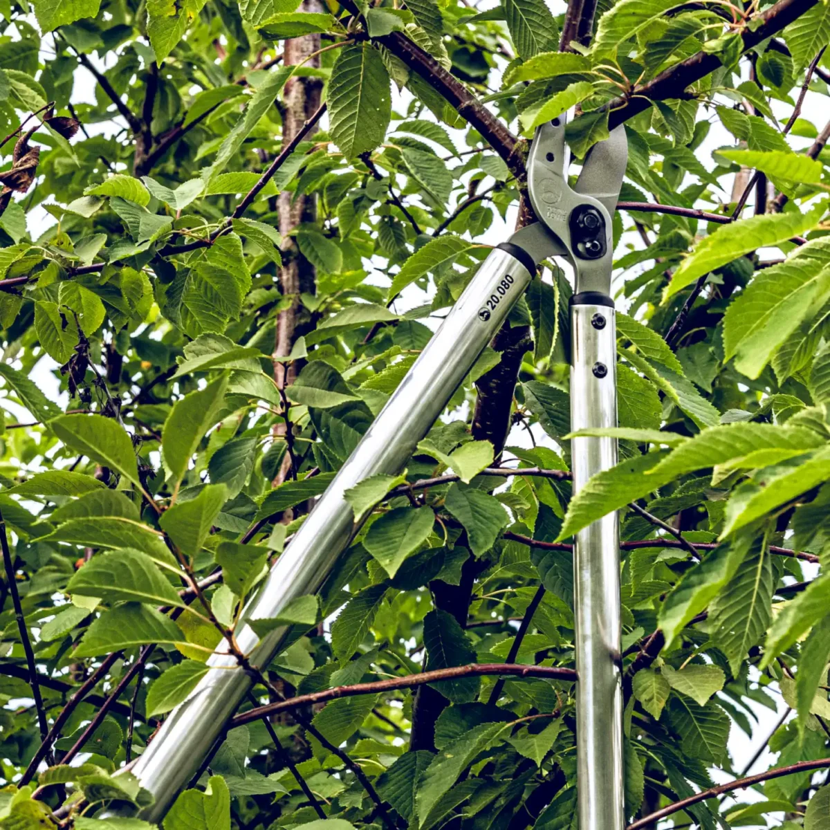 Original Löwe Fast Cut 80cm Sécateur d'élagage