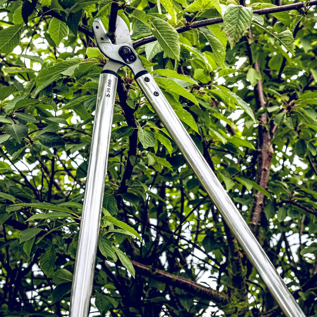 Original Löwe Fast Cut 80cm Sécateur d'élagage