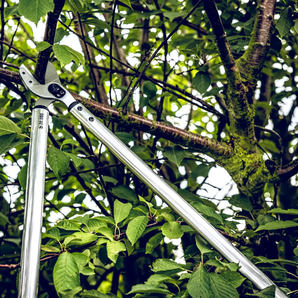 Original Löwe Fast Cut 80cm Sécateur d'élagage