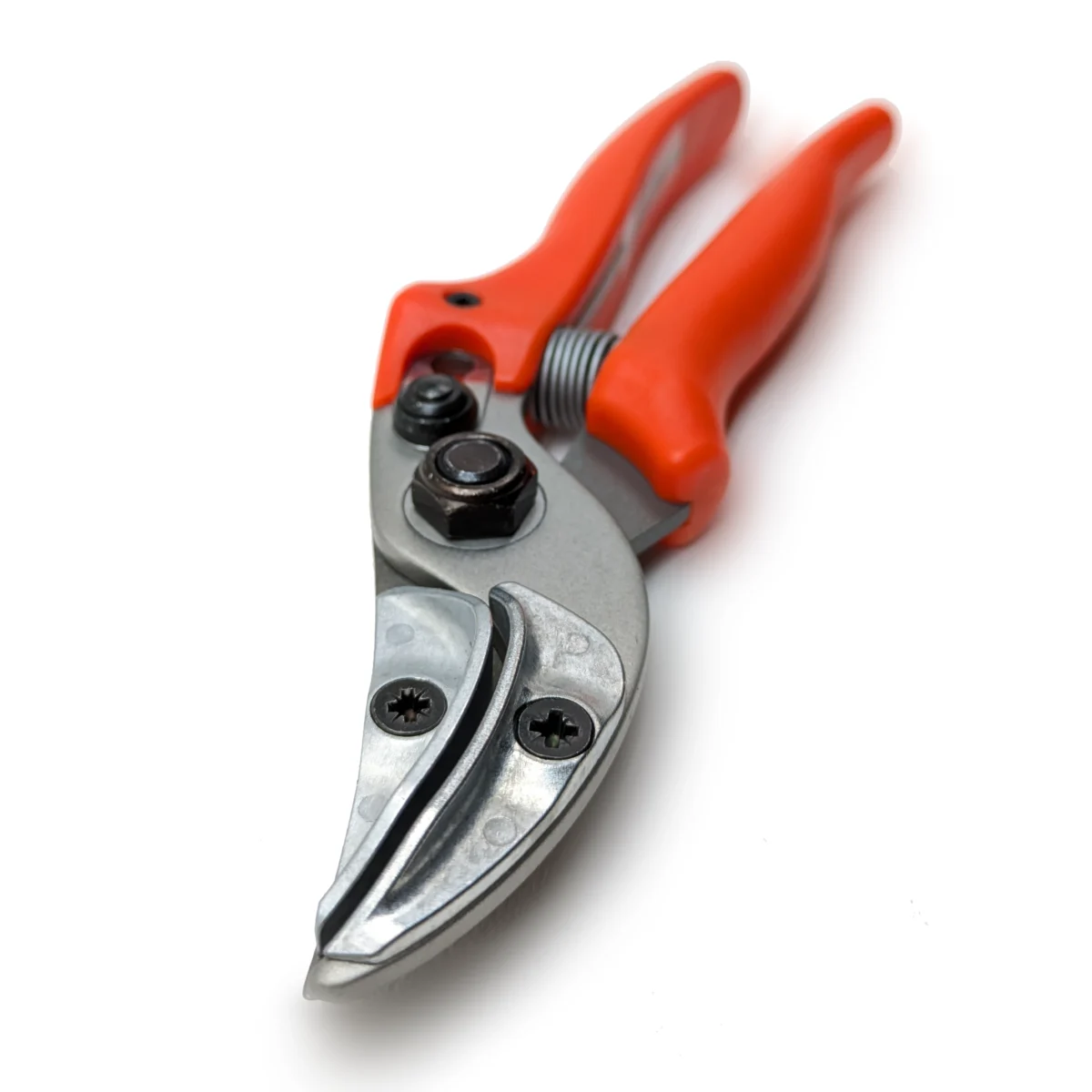 Original Löwe Ciseaux de présentation pour roses