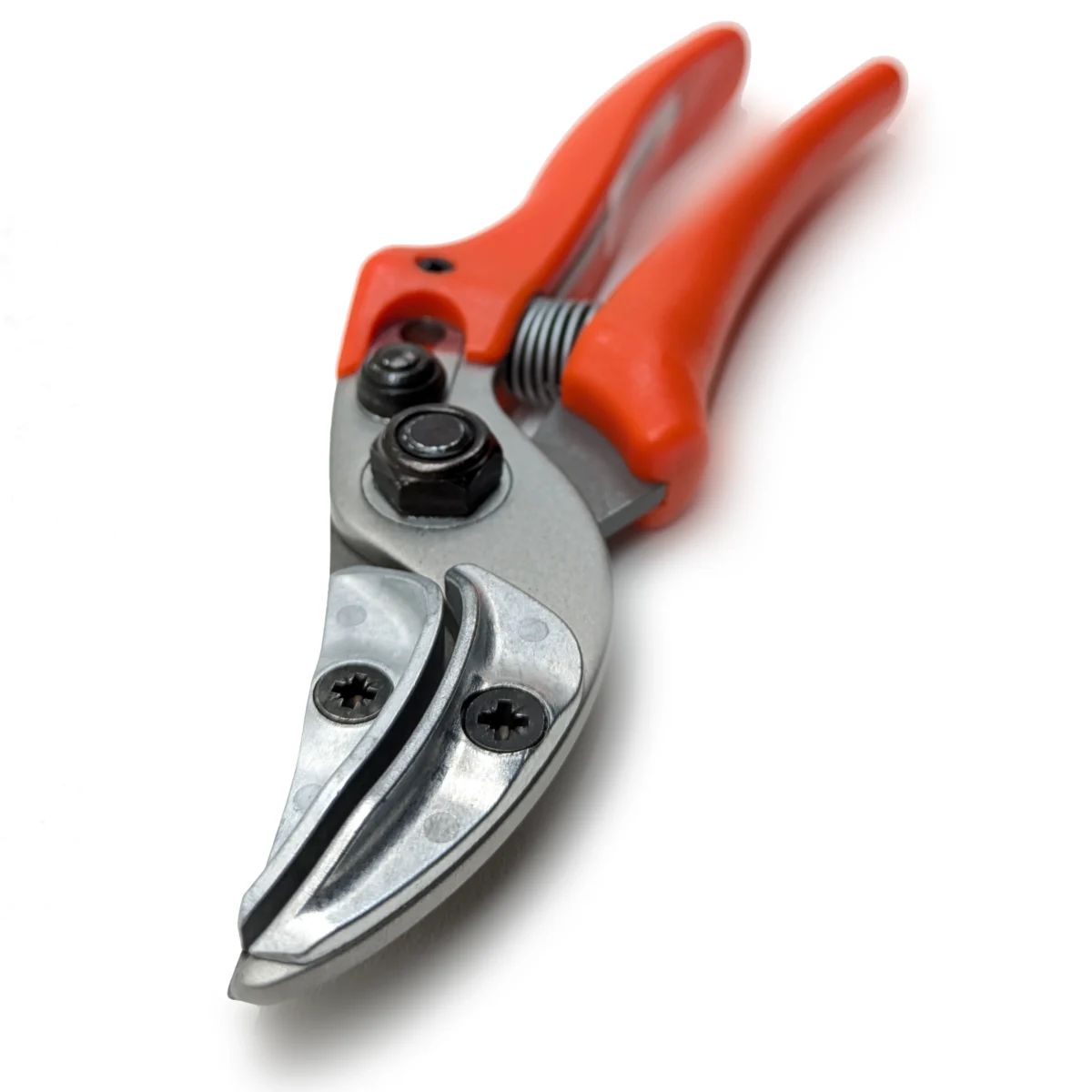 Original Löwe Ciseaux de présentation pour roses